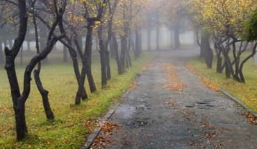 Previsioni meteo